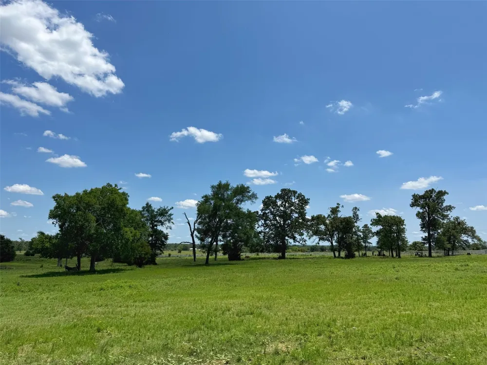 7117 Pr 3155 Buffalo, TX 75831
