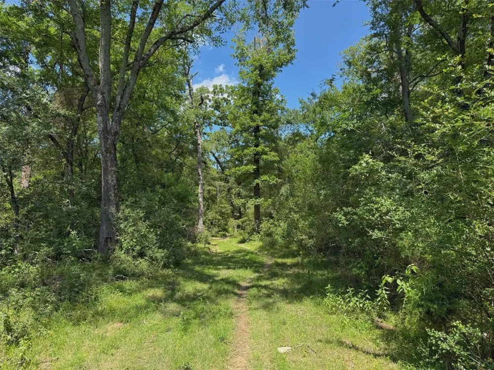 7117 Pr 3155 Buffalo, TX 75831