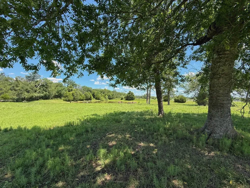 7117 Pr 3155 Buffalo, TX 75831
