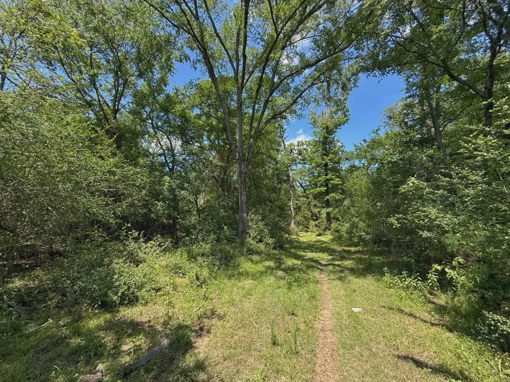 7117 Pr 3155 Buffalo, TX 75831