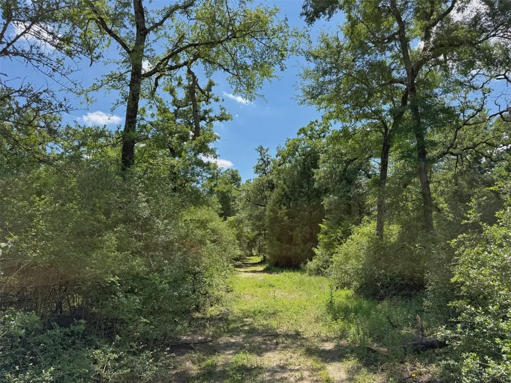7117 Pr 3155 Buffalo, TX 75831