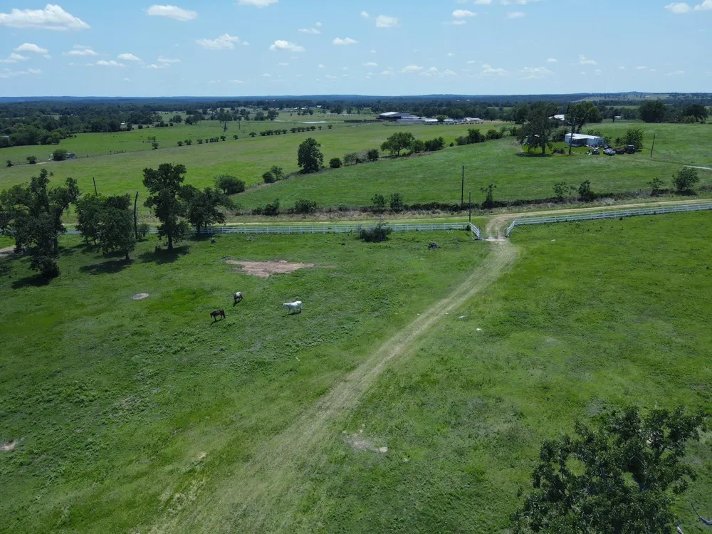 7117 Pr 3155 Buffalo, TX 75831