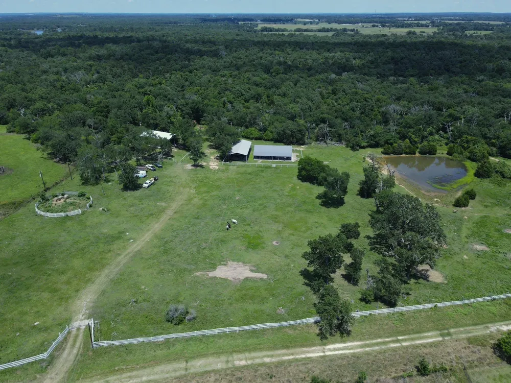 7117 Pr 3155 Buffalo, TX 75831