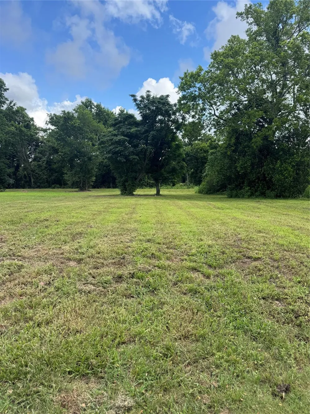 611 Trinity Street Liberty, TX 77575