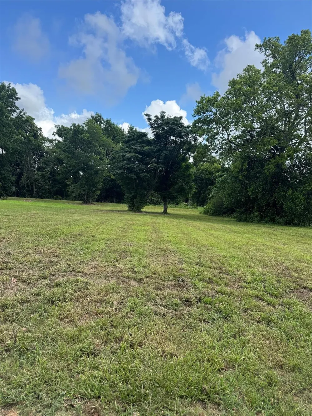 611 Trinity Street Liberty, TX 77575