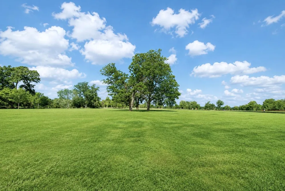 3315 Doe Haven Court Fulshear, TX 77441