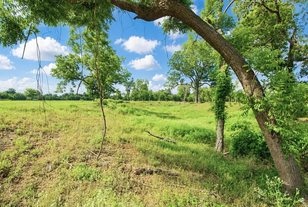 3315 Doe Haven Court Fulshear, TX 77441