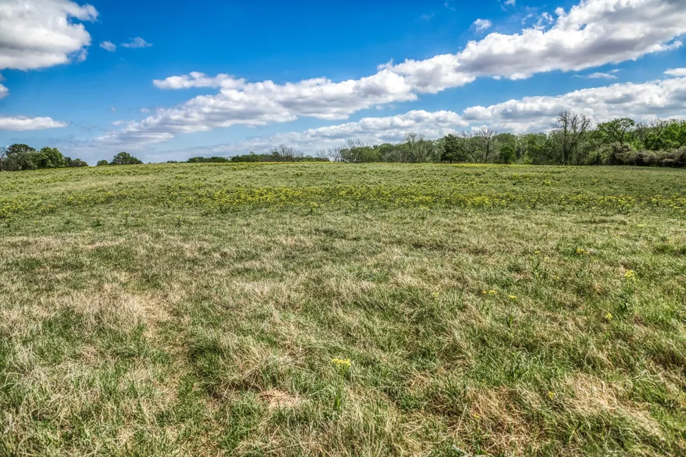 11320 County Road 343 Caldwell, TX 77836