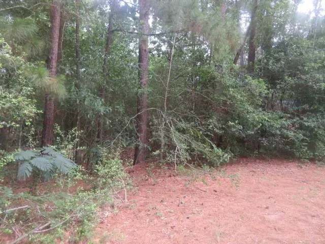 15245 Hillshire Pl Plantersville, TX 77363