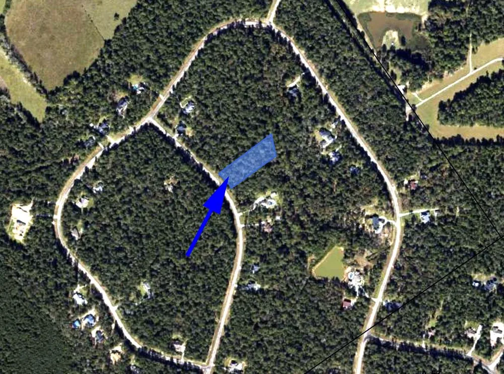 3 Fire Sky Road Huntsville, TX 77358