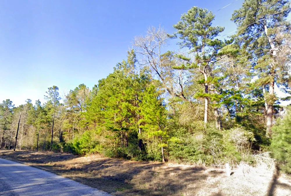 3 Fire Sky Road Huntsville, TX 77358