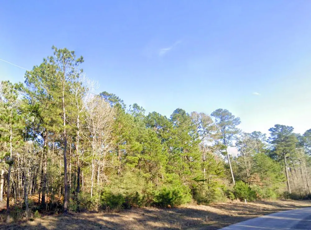 3 Fire Sky Road Huntsville, TX 77358