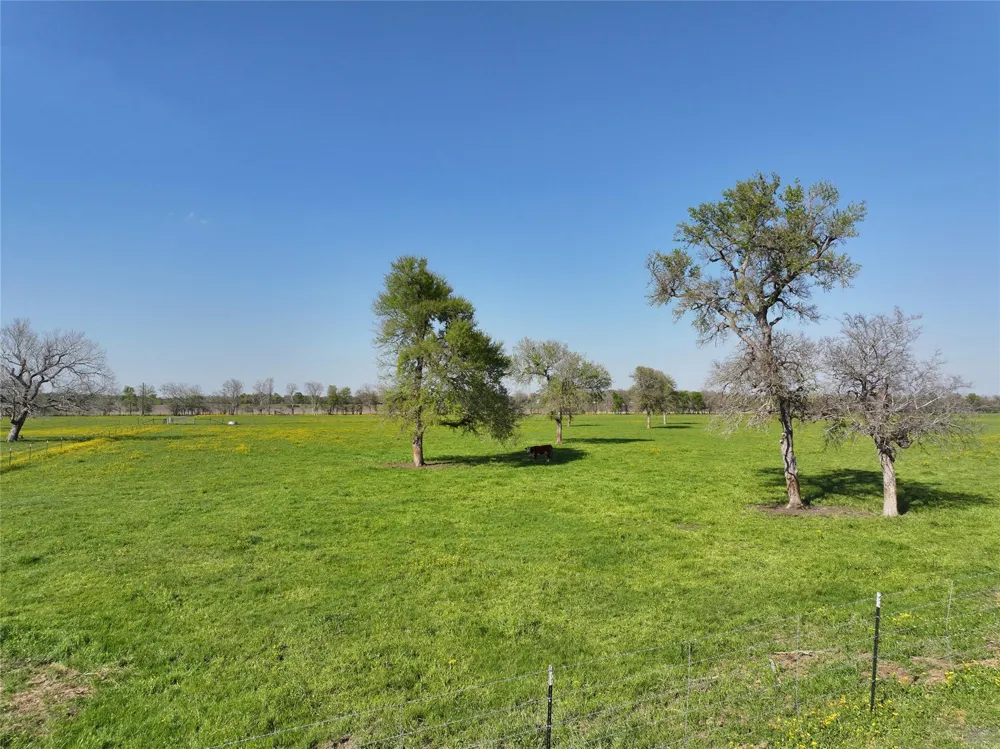 11581 County Road 419 Navasota, TX 77868