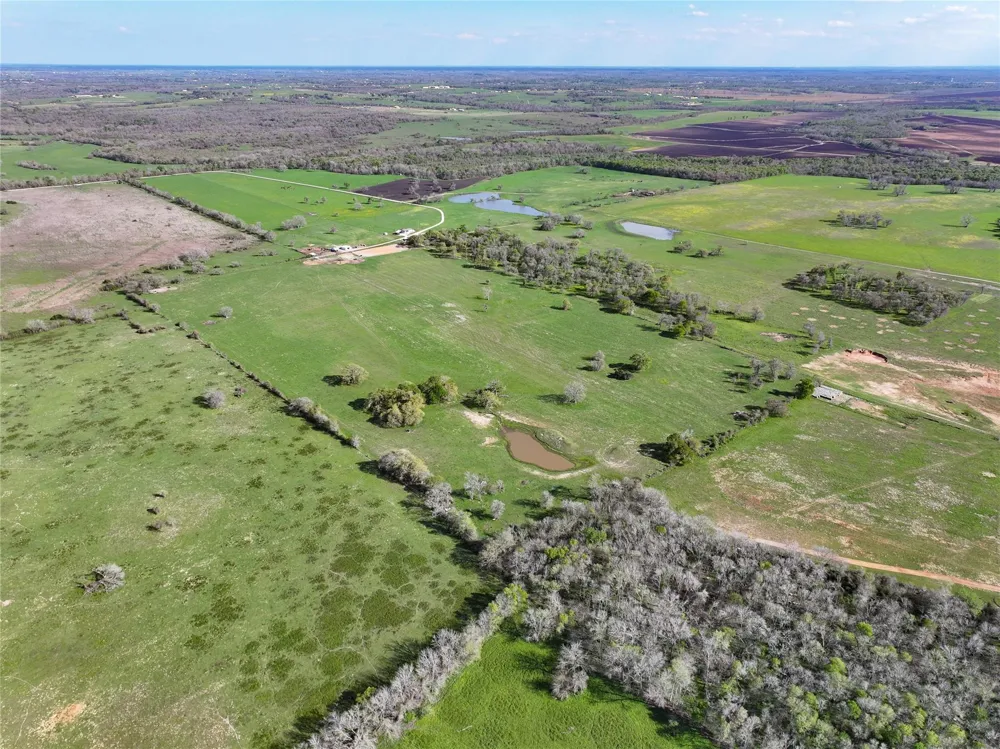 11581 County Road 419 Navasota, TX 77868