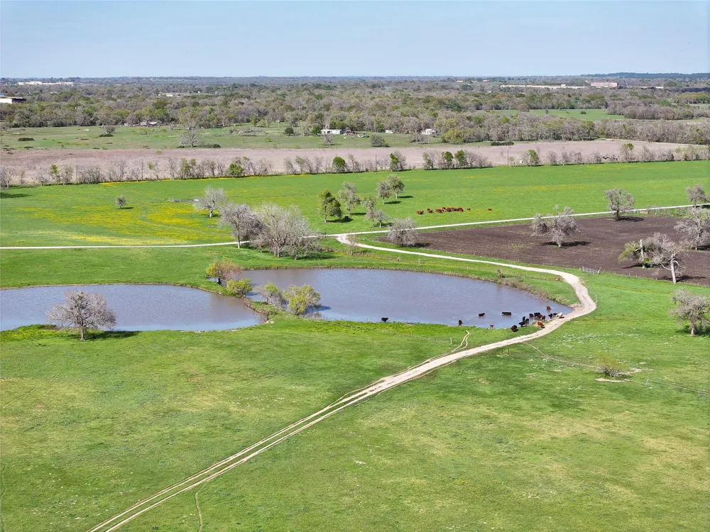 11581 County Road 419 Navasota, TX 77868