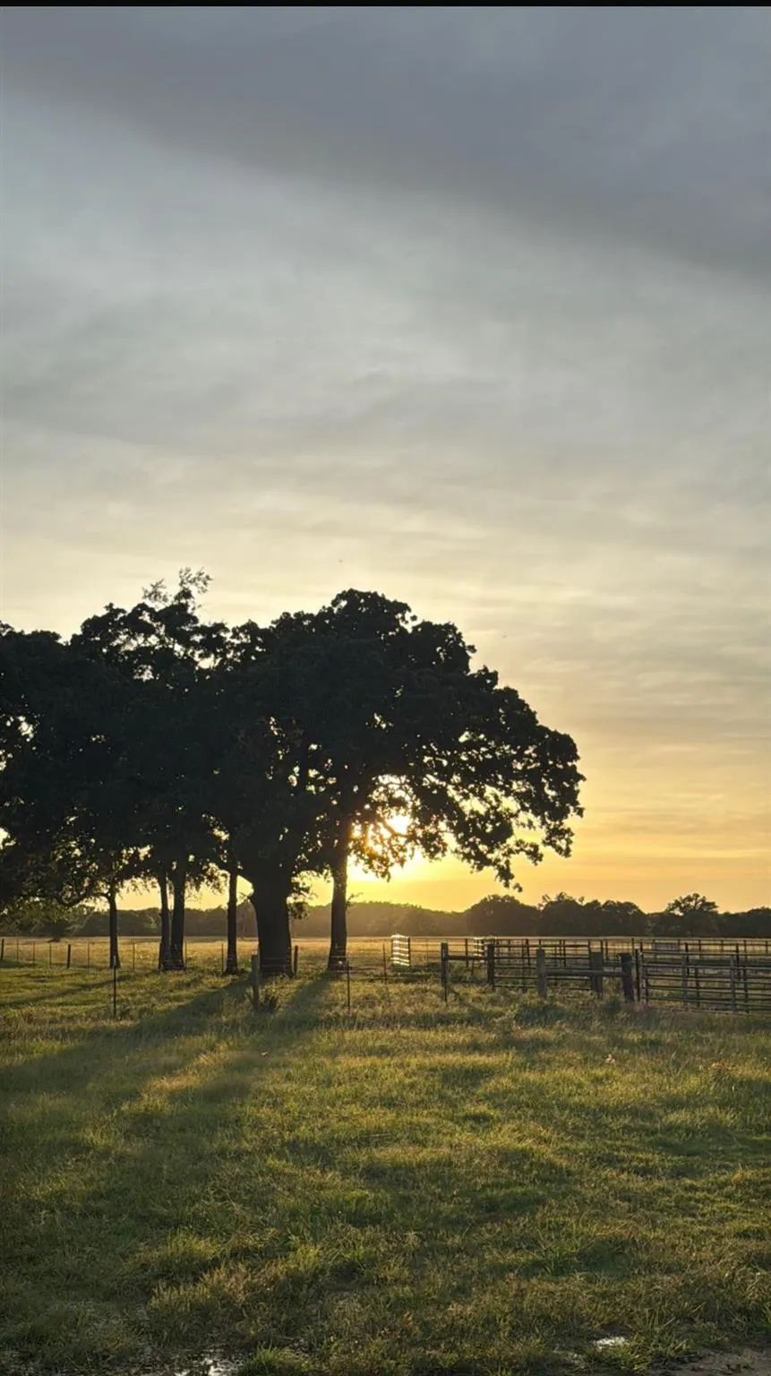 11581 County Road 419 Navasota, TX 77868