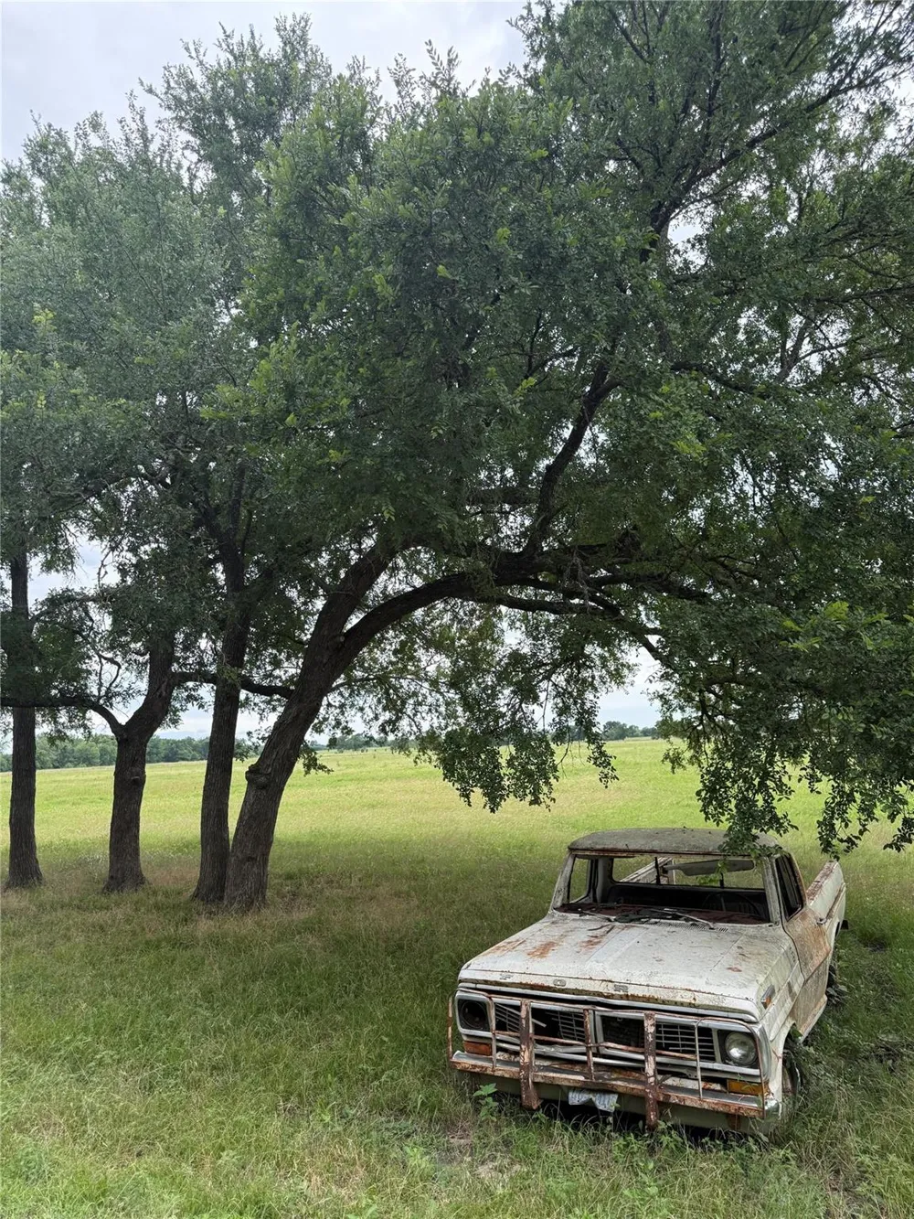 11581 County Road 419 Navasota, TX 77868