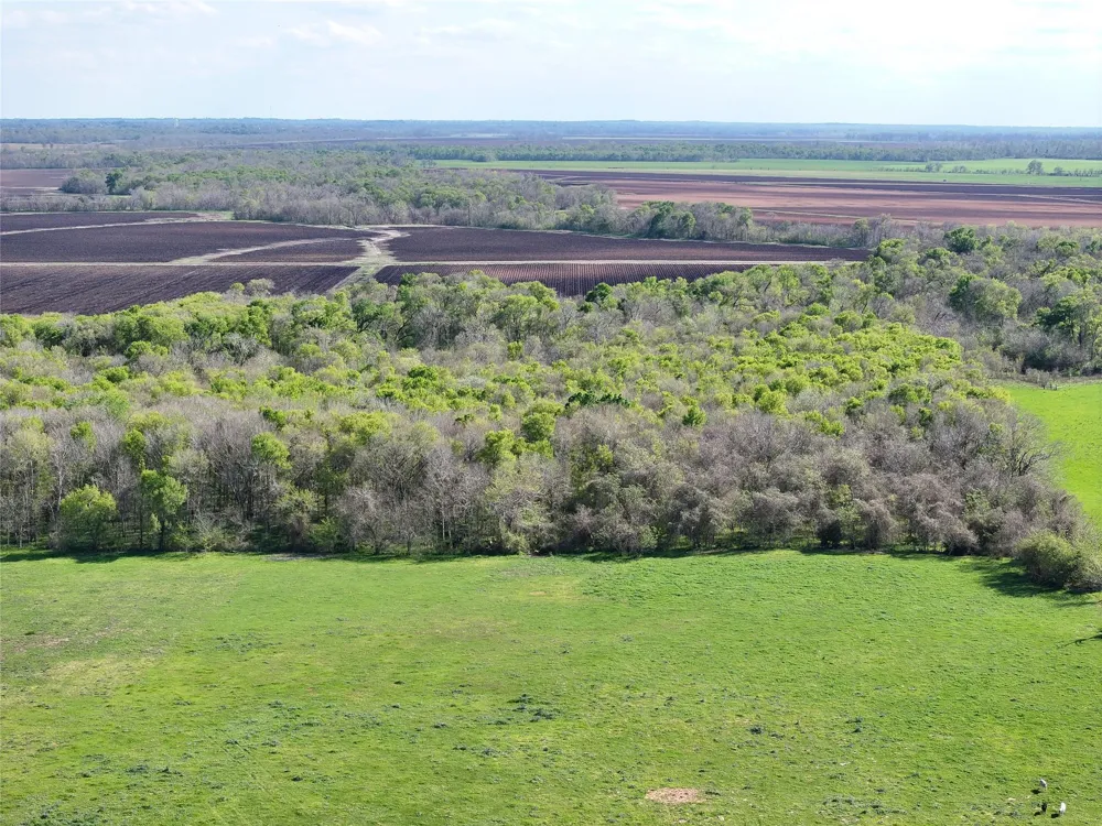 11581 County Road 419 Navasota, TX 77868