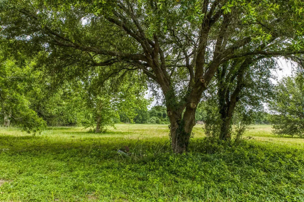 Randle Hill Road Brenham, TX 77833