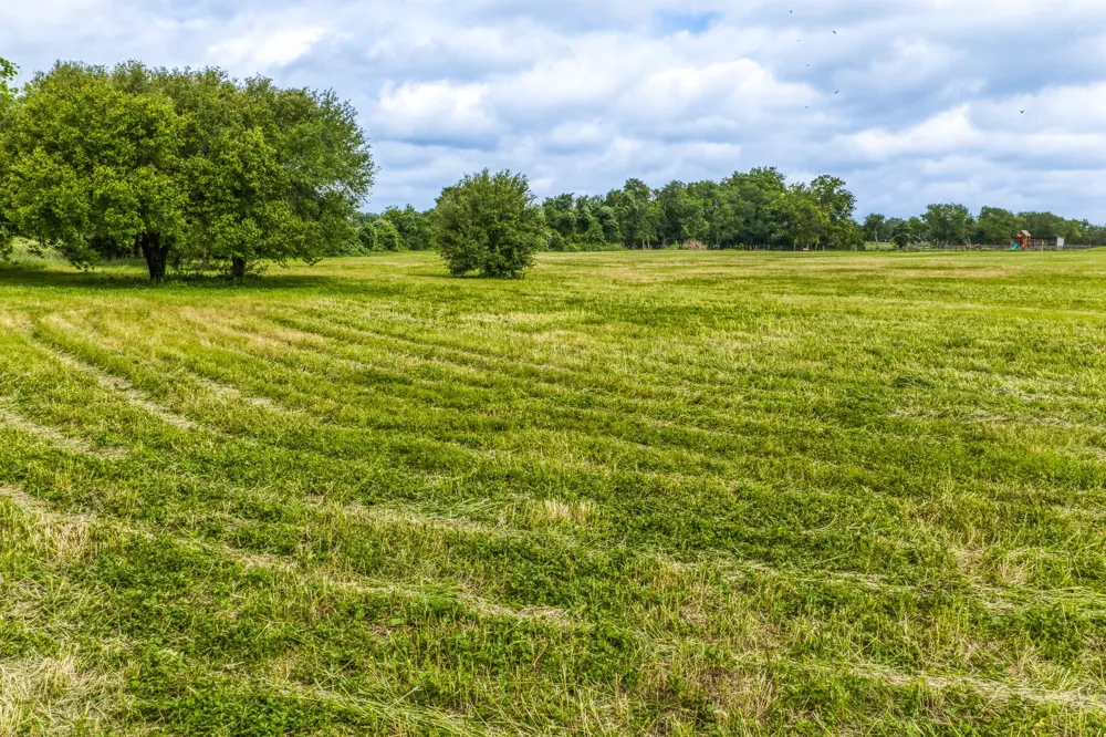 Randle Hill Road Brenham, TX 77833