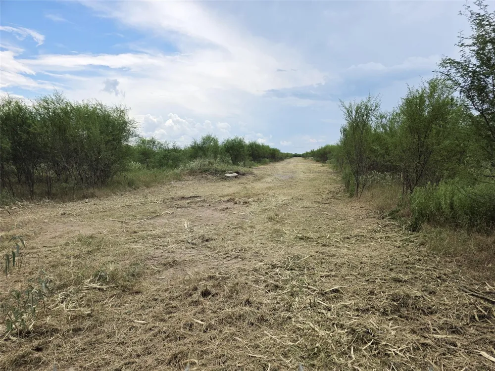 36847 0002 Richard Frey Road Drive Hempstead, TX 77445
