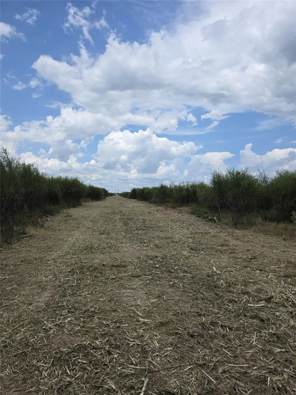36847 0002 Richard Frey Road Drive Hempstead, TX 77445
