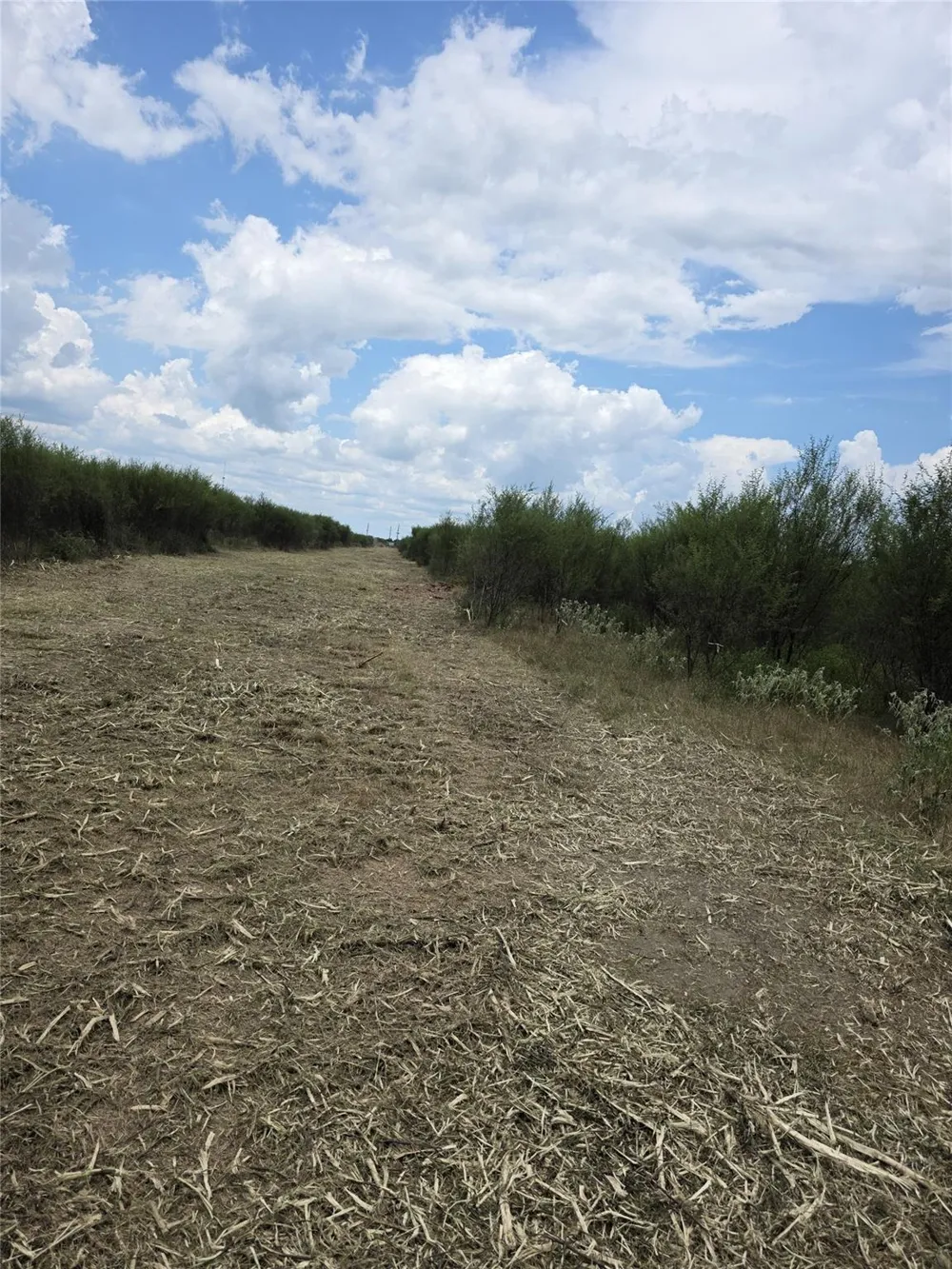 36847 0002 Richard Frey Road Drive Hempstead, TX 77445