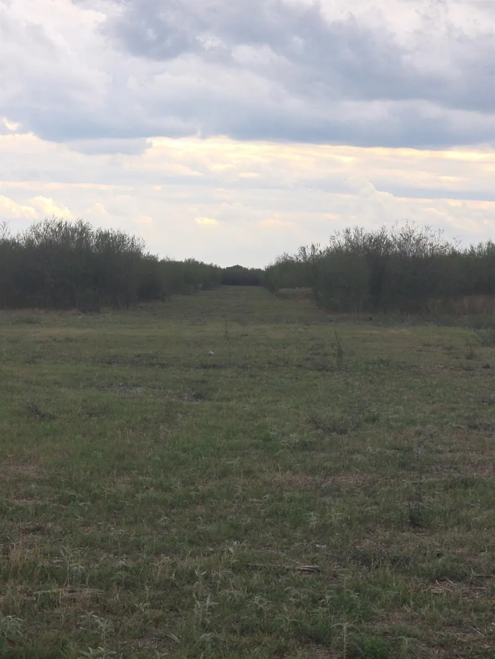 36847 0002 Richard Frey Road Drive Hempstead, TX 77445