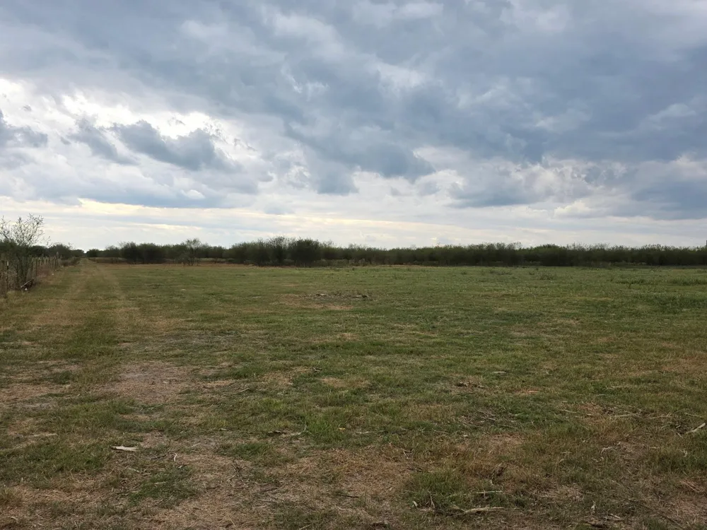 36847 0002 Richard Frey Road Drive Hempstead, TX 77445