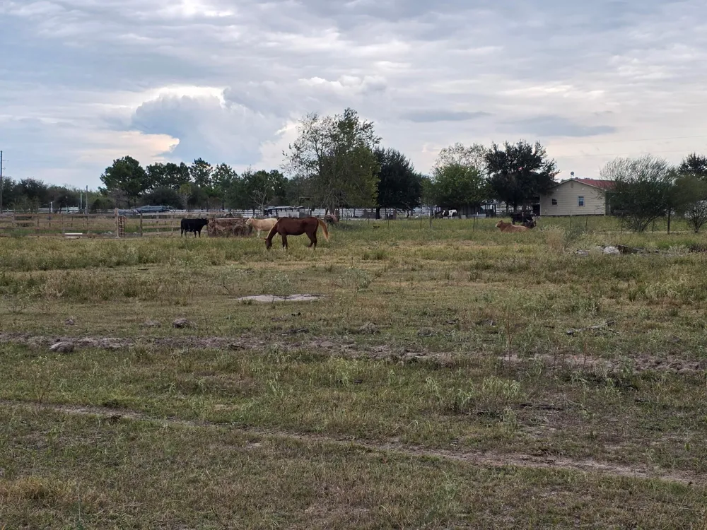 36847 0002 Richard Frey Road Drive Hempstead, TX 77445