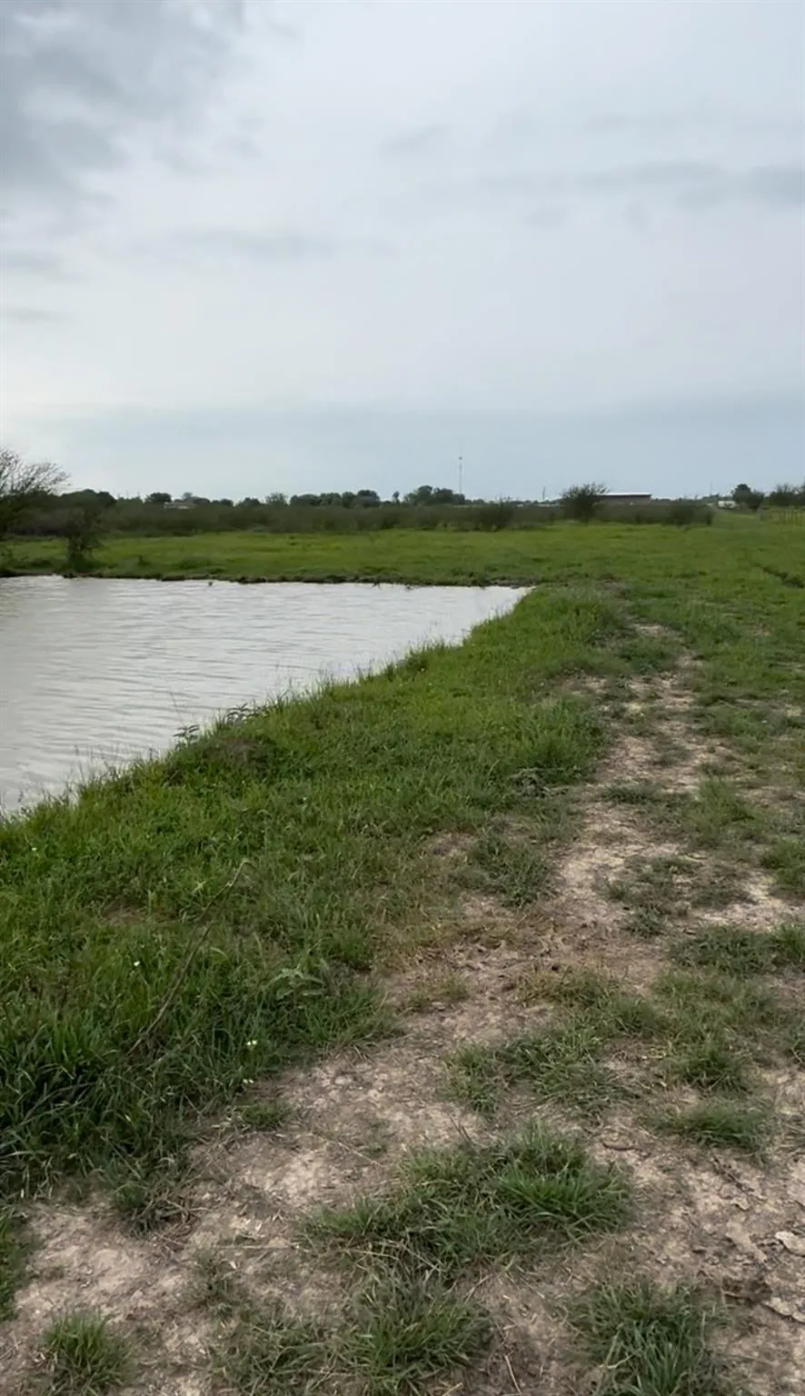 36847 0002 Richard Frey Road Drive Hempstead, TX 77445