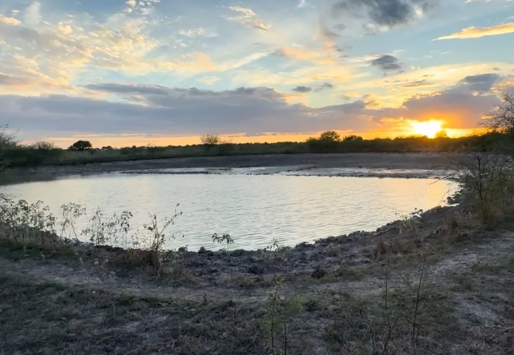 36847 0002 Richard Frey Road Drive Hempstead, TX 77445