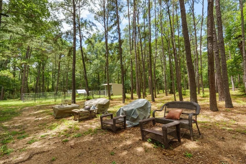 16375 Grand Flower Road Plantersville, TX 77363