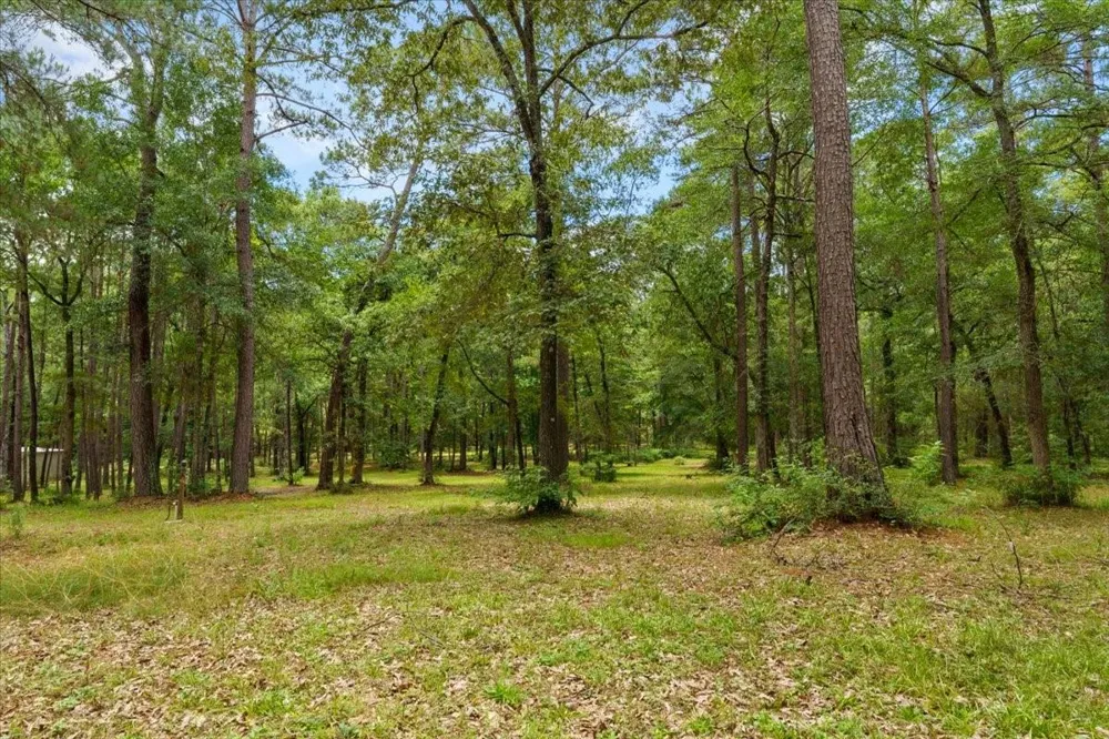 16375 Grand Flower Road Plantersville, TX 77363