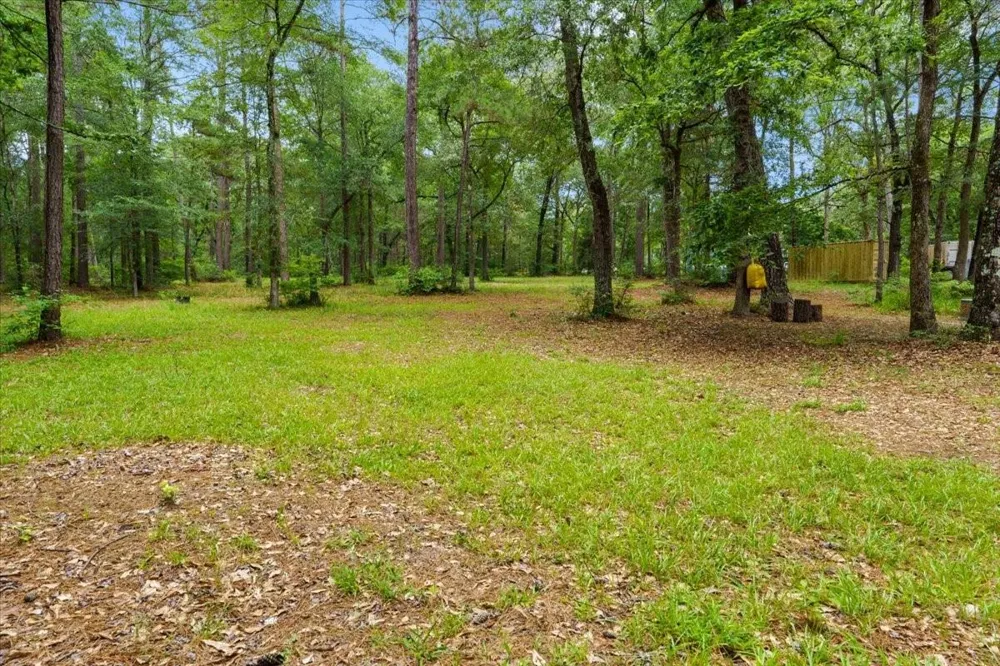 16375 Grand Flower Road Plantersville, TX 77363
