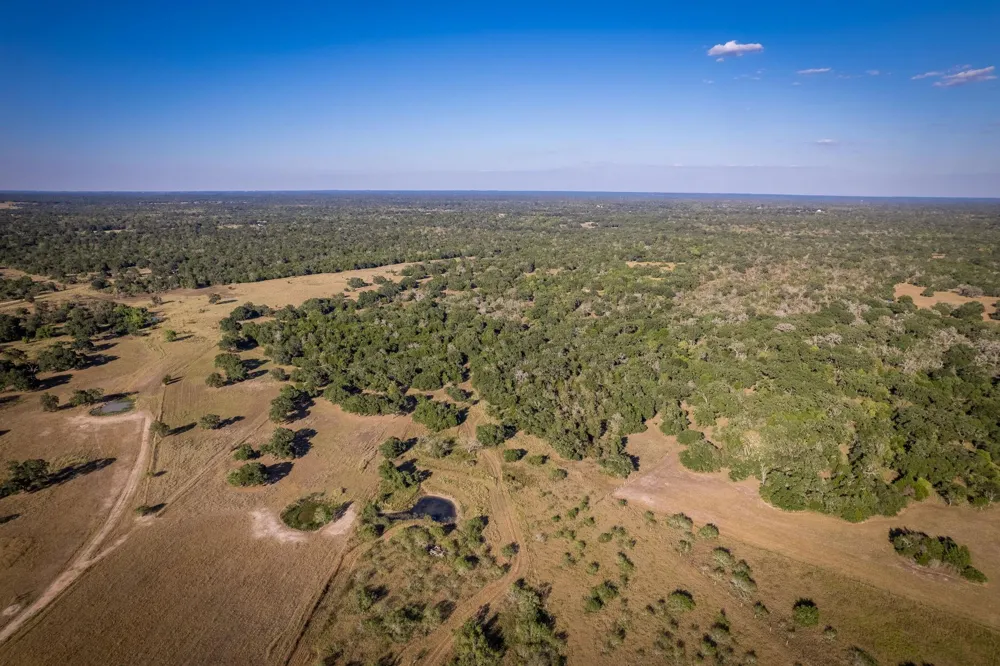 1625 Shaws Bend Road Columbus, TX 78934