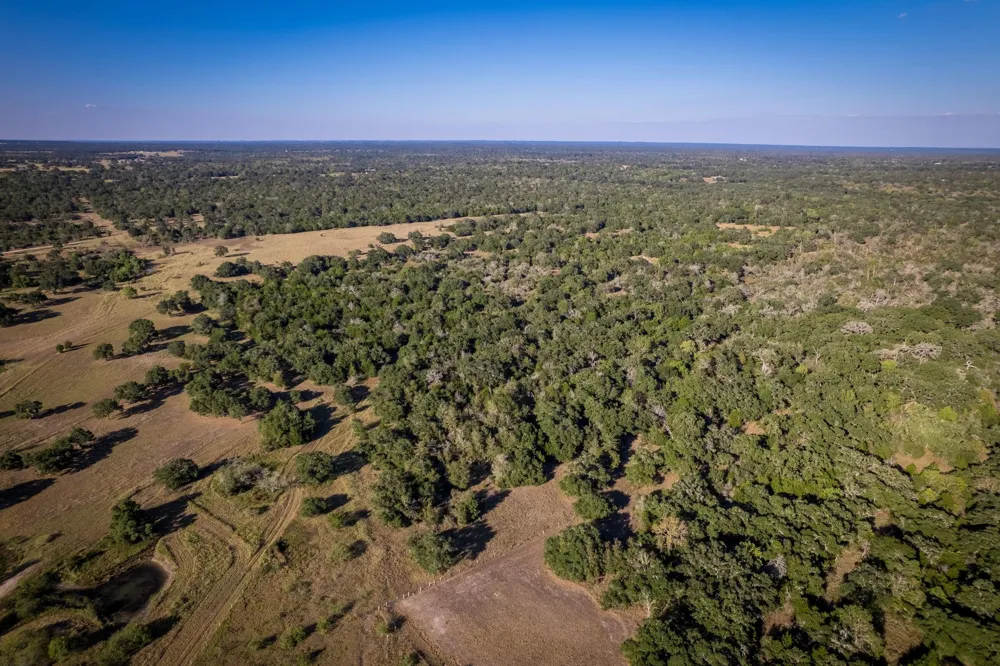 1625 Shaws Bend Road Columbus, TX 78934