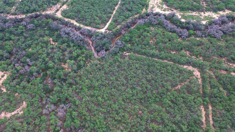 Cr 345 Charlotte, TX 78011