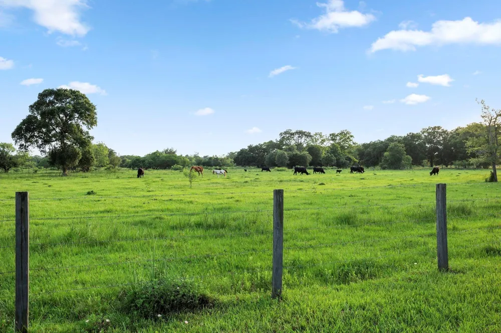 19245 Fm 442 Road Boling, TX 77420