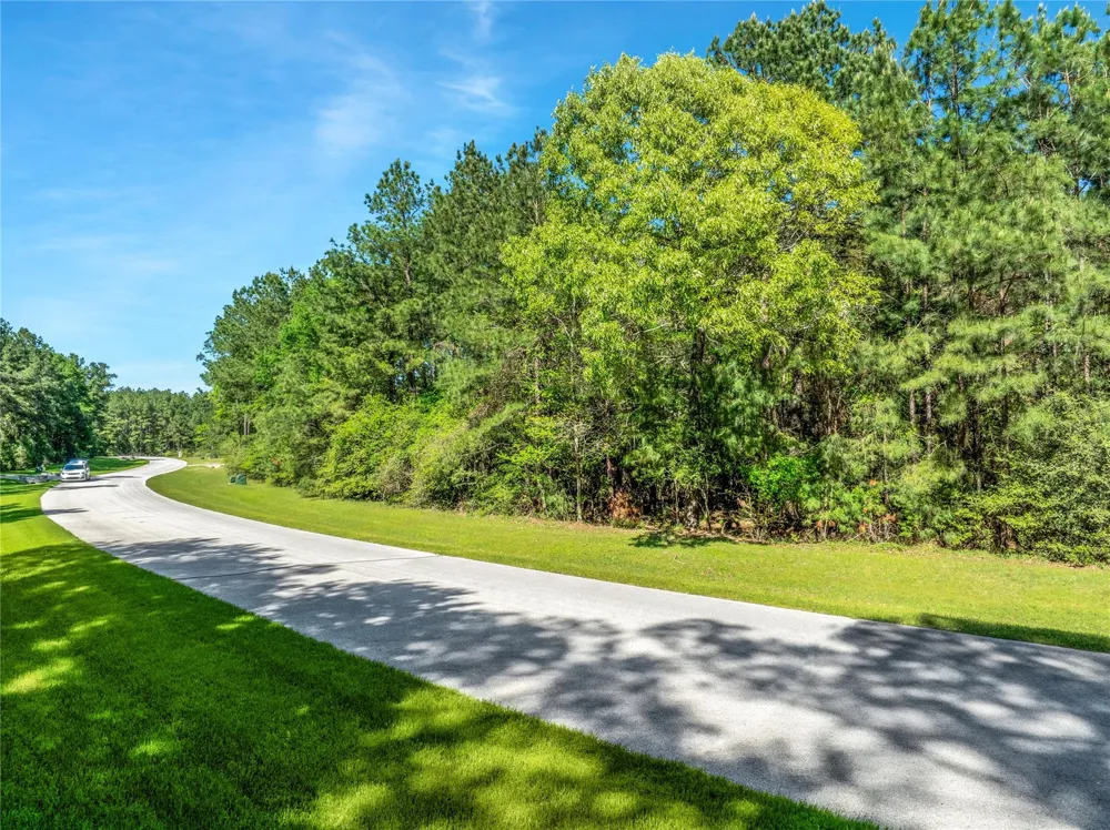 12627 Shady Wds Trail Montgomery, TX 77316