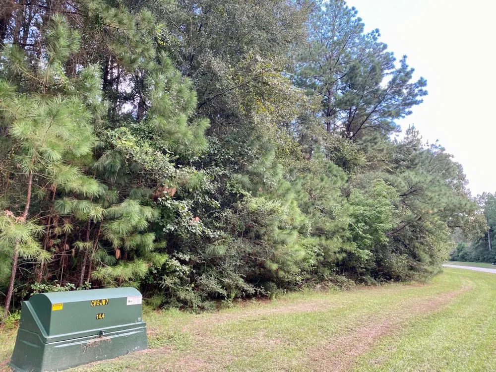 12627 Shady Wds Trail Montgomery, TX 77316