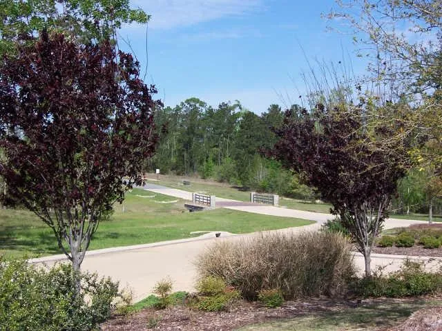 12627 Shady Wds Trail Montgomery, TX 77316