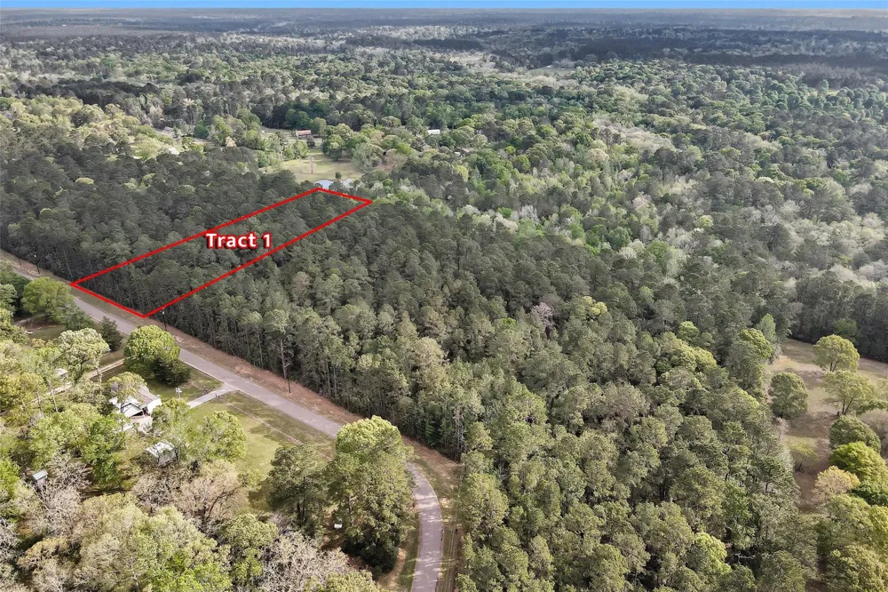 1 Cedar Lane Loop Willis, TX 77378