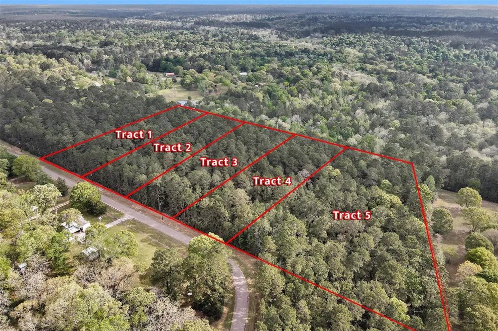 1 Cedar Lane Loop Willis, TX 77378
