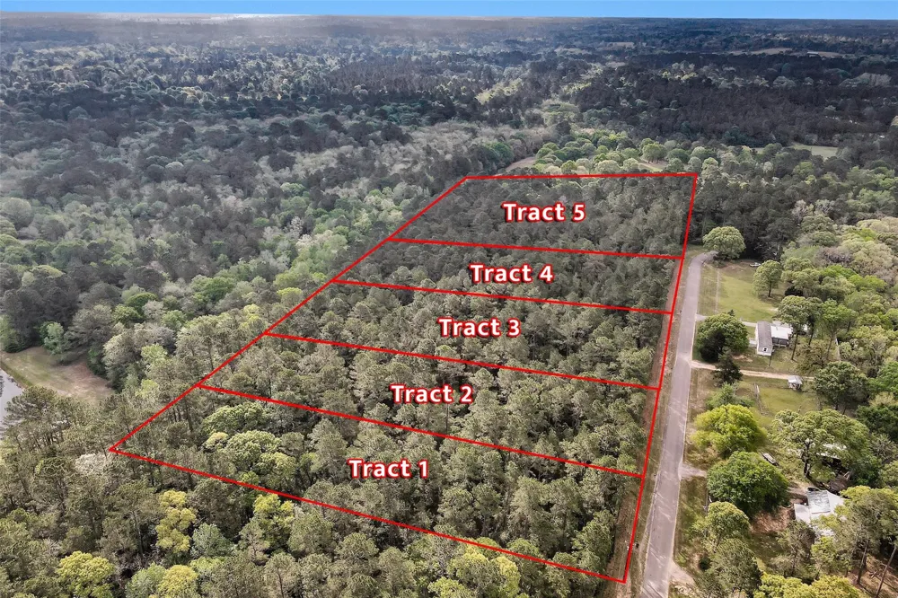 1 Cedar Lane Loop Willis, TX 77378