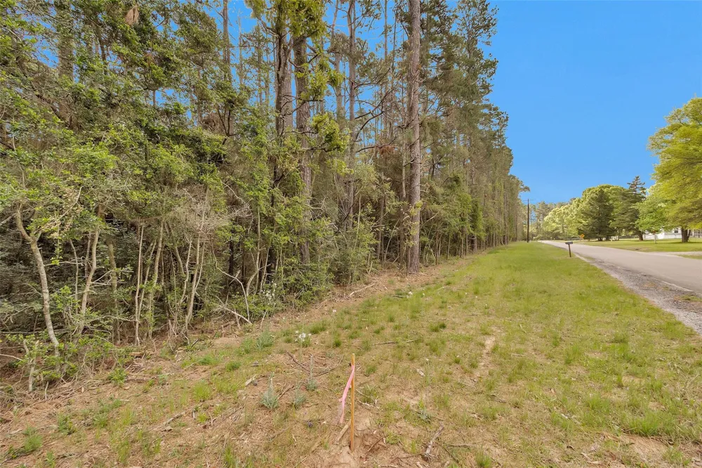 1 Cedar Lane Loop Willis, TX 77378