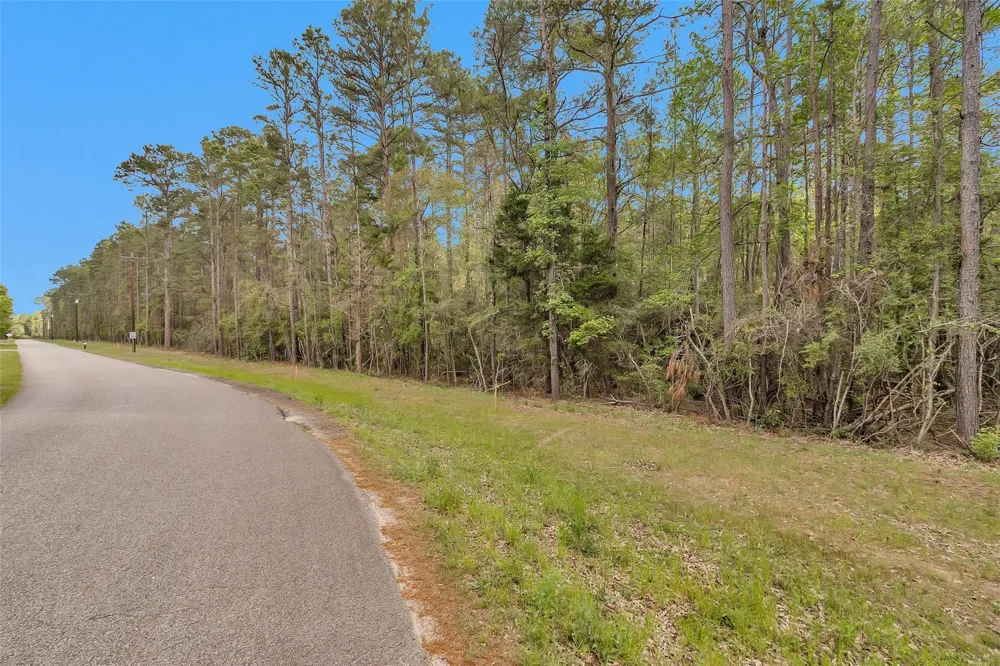 1 Cedar Lane Loop Willis, TX 77378