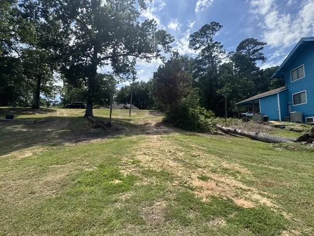 175 Sam Houston Loop Point Blank, TX 77364