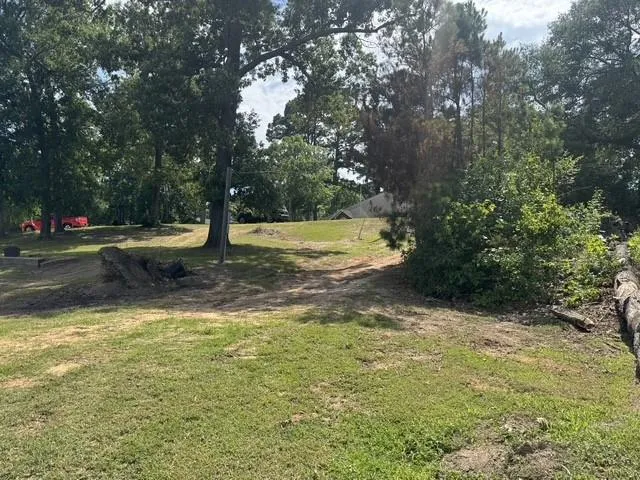 175 Sam Houston Loop Point Blank, TX 77364