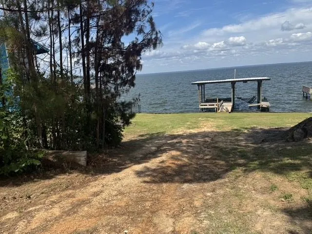 175 Sam Houston Loop Point Blank, TX 77364